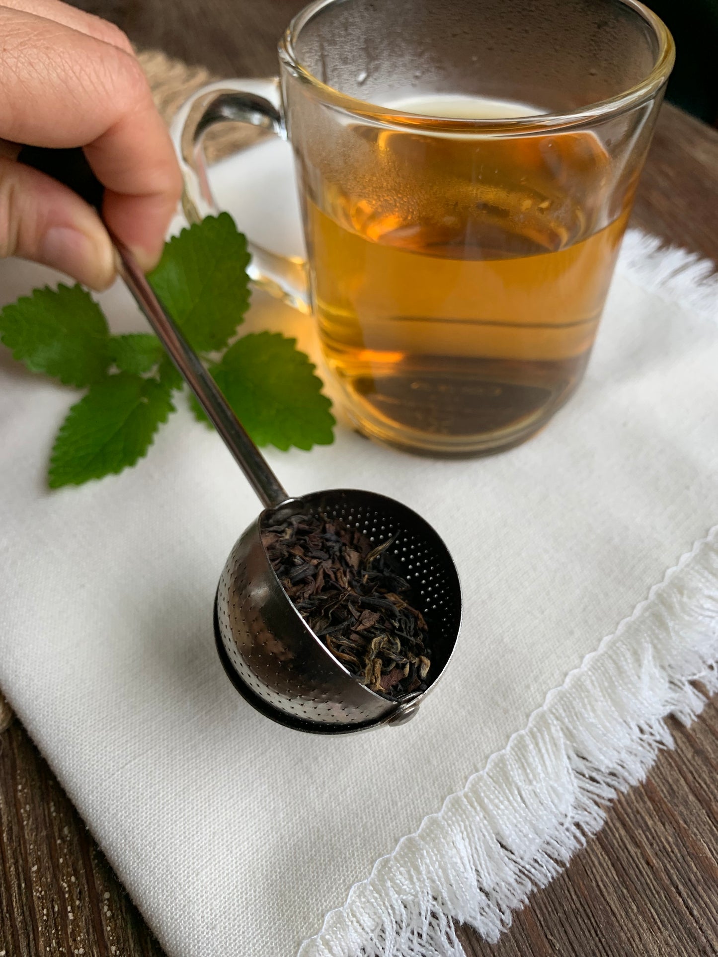 Long Handle Tea Ball Stainless Steel Infuser