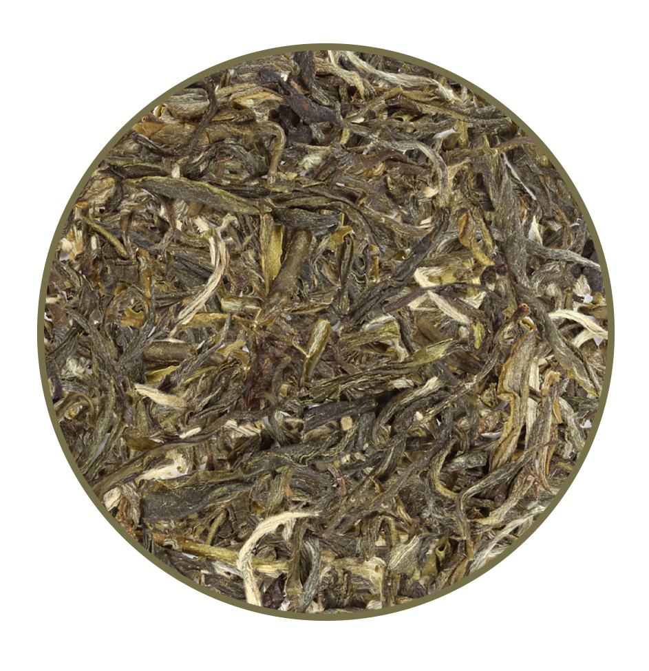 Jasmine Chun Hao Green Tea – Light Caffeine, Premium Loose Leaf