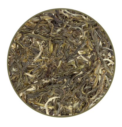 Jasmine Chun Hao Green Tea – Light Caffeine, Premium Loose Leaf