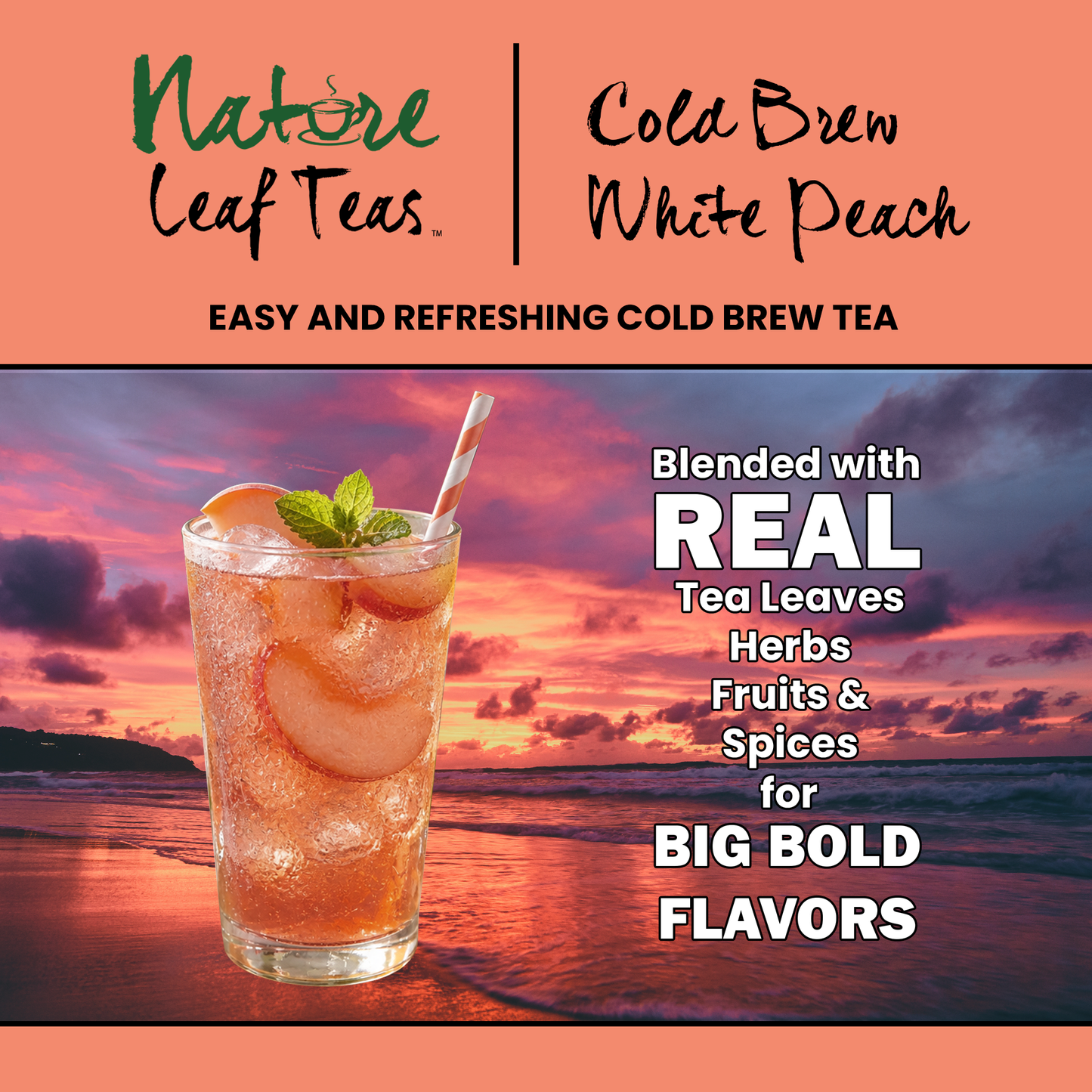Cold Brew White Peach - Moderate Caffeine Healthy Premium Tea Drink -  Makes 5 Gallons